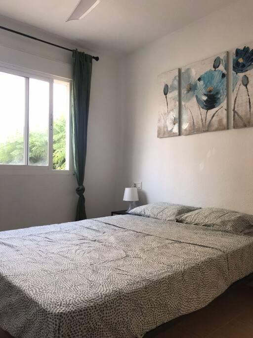 Lovely One Bedroom Unit With Balcony And Pool 德尼亚 外观 照片